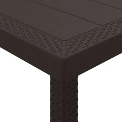 vidaXL Conjunto de Comedor de Jardín 11 pcs Marrón Polipropileno Marr&oacute;n New