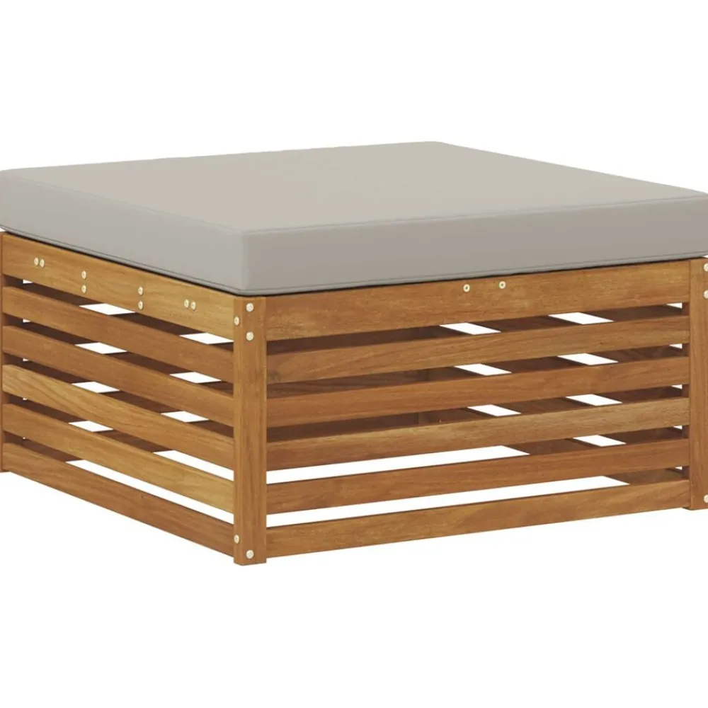 vidaXL Conjuntos De Muebles-Conjunto de sofás de exterior 5 pcs Gris Natural y Claro