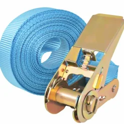 vidaXL Correas de sujeción de trinquete 4 uds 0,8 Ton 6mx25mm Azul