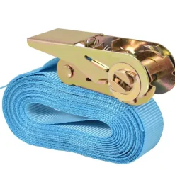 vidaXL Correas de sujeción de trinquete 4 uds 0,8 Ton 6mx25mm Azul