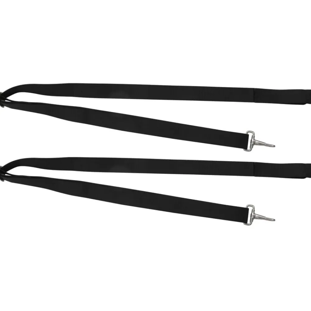 vidaXL Correas para toldo bimini 2 unidades tela y acero inoxidable Online