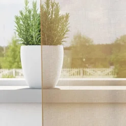 vidaXL Cortinas de gasa con ojales 2 uds Arena Hot