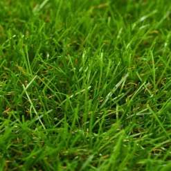 vidaXL Césped artificial verde 1x2 m/30 mm Best