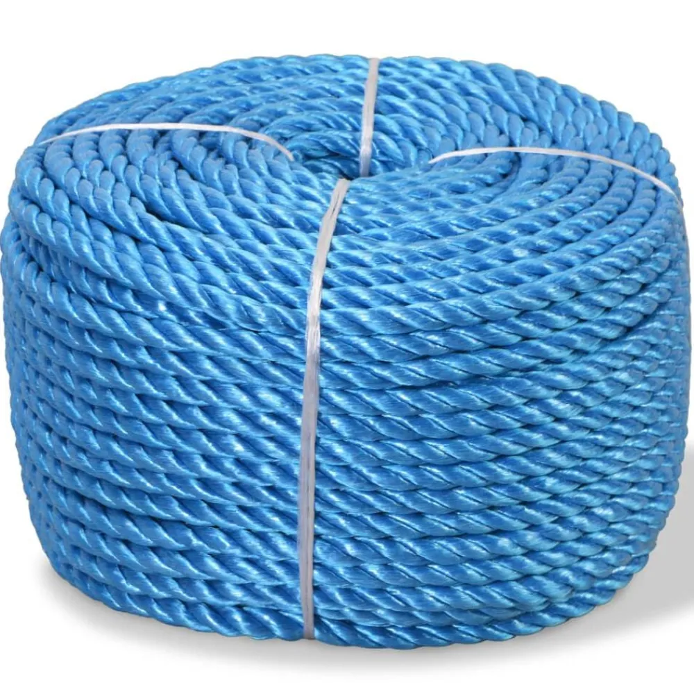 vidaXL Cuerda trenzada de polipropileno 10 mm 100 m Azul Best