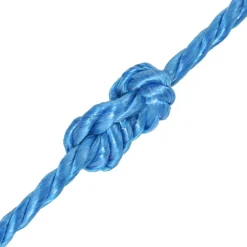 vidaXL Cuerda trenzada de polipropileno 10 mm 100 m Azul Best