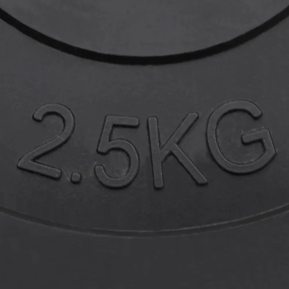 vidaXL Fitness Y Musculación-Discos de pesas 6 piezas cemento 30 kg