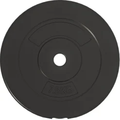 vidaXL Fitness Y Musculación-Discos de pesas 6 piezas cemento 30 kg