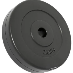 vidaXL Fitness Y Musculación-Discos de pesas 6 piezas cemento 30 kg