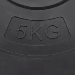 vidaXL Fitness Y Musculación-Discos de pesas 6 piezas cemento 30 kg