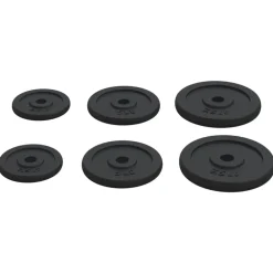 vidaXL Fitness Y Musculación-Discos de pesas de hierro fundido 6 piezas 30 kg