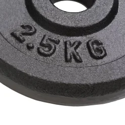 vidaXL Fitness Y Musculación-Discos de pesas de hierro fundido 8 piezas 2,5 kg