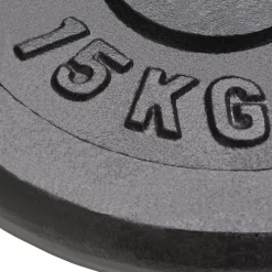vidaXL Fitness Y Musculación-Discos de pesas de hierro fundido 2 uds 2x15 kg