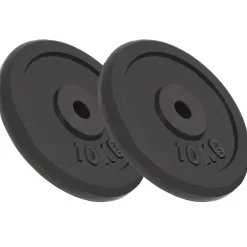 vidaXL Fitness Y Musculación-Discos de pesas de hierro fundido 2 uds 2x10 kg