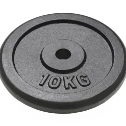 vidaXL Fitness Y Musculación-Discos de pesas de hierro fundido 2 uds 2x10 kg