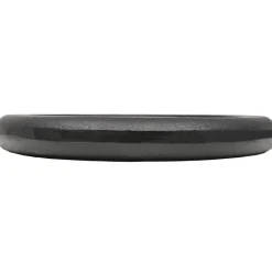 vidaXL Fitness Y Musculación-Discos de pesas de hierro fundido 2 uds 2x10 kg