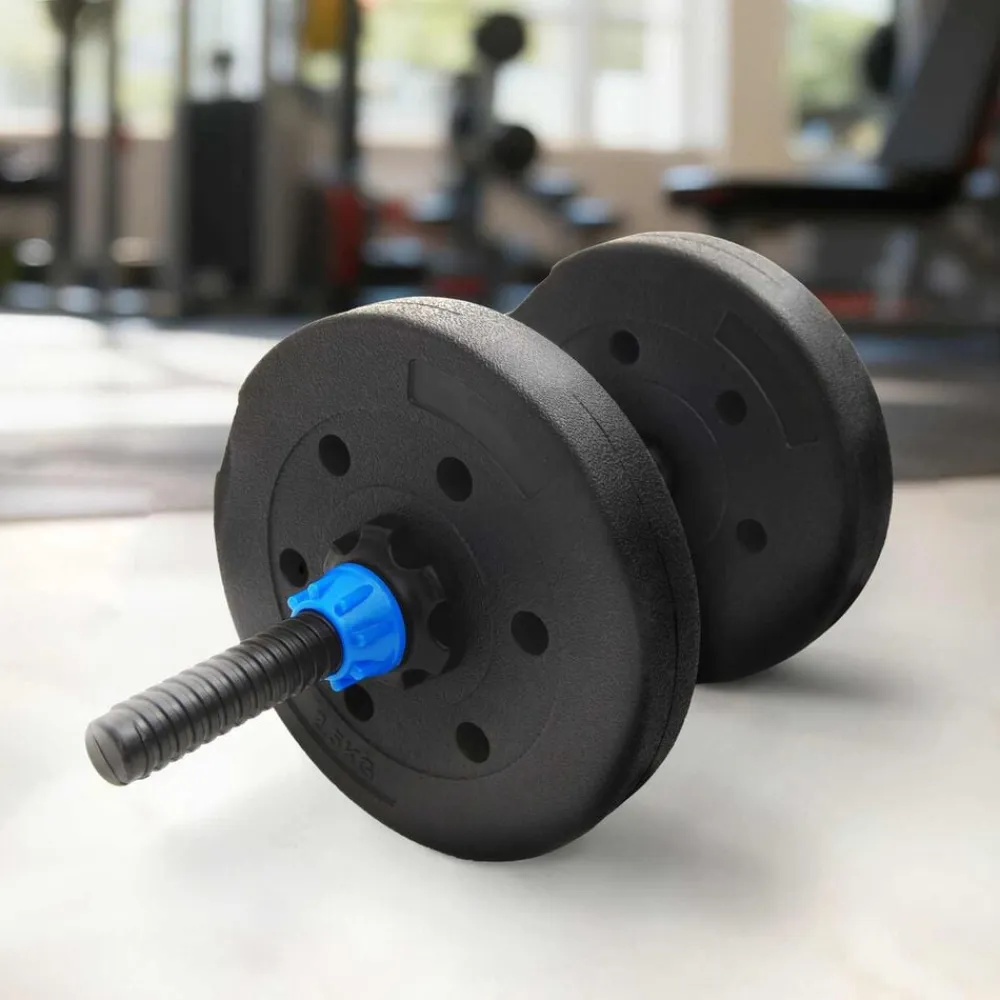 vidaXL Fitness Y Musculación-Discos de Peso 10 kg 4 pcs 10kg Negro Cemento y arena de hierro