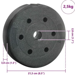 vidaXL Fitness Y Musculación-Discos de Peso 10 kg 4 pcs 10kg Negro Cemento y arena de hierro