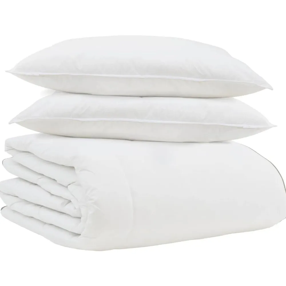 vidaXL Edredón de Invierno con almohada 3 pcs Pluma de pato Online