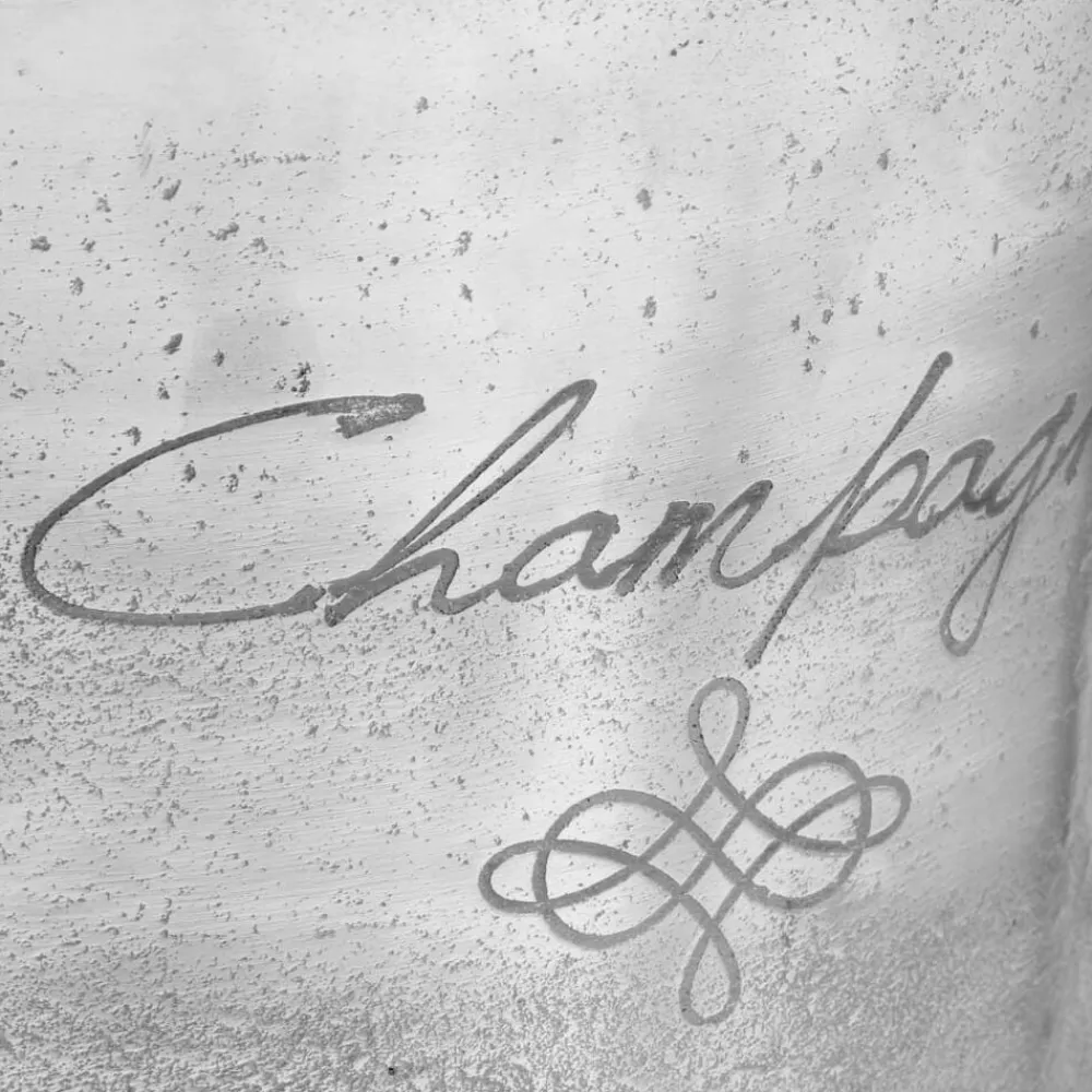 vidaXL Decoración-Enfriador de champán de aluminio macizo 39x29x71 cm plateado