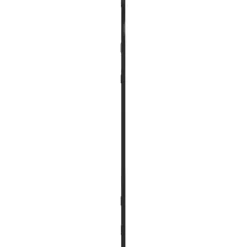 vidaXL Decoración-Espejo de pared arco de hierro negro 30x60 cm