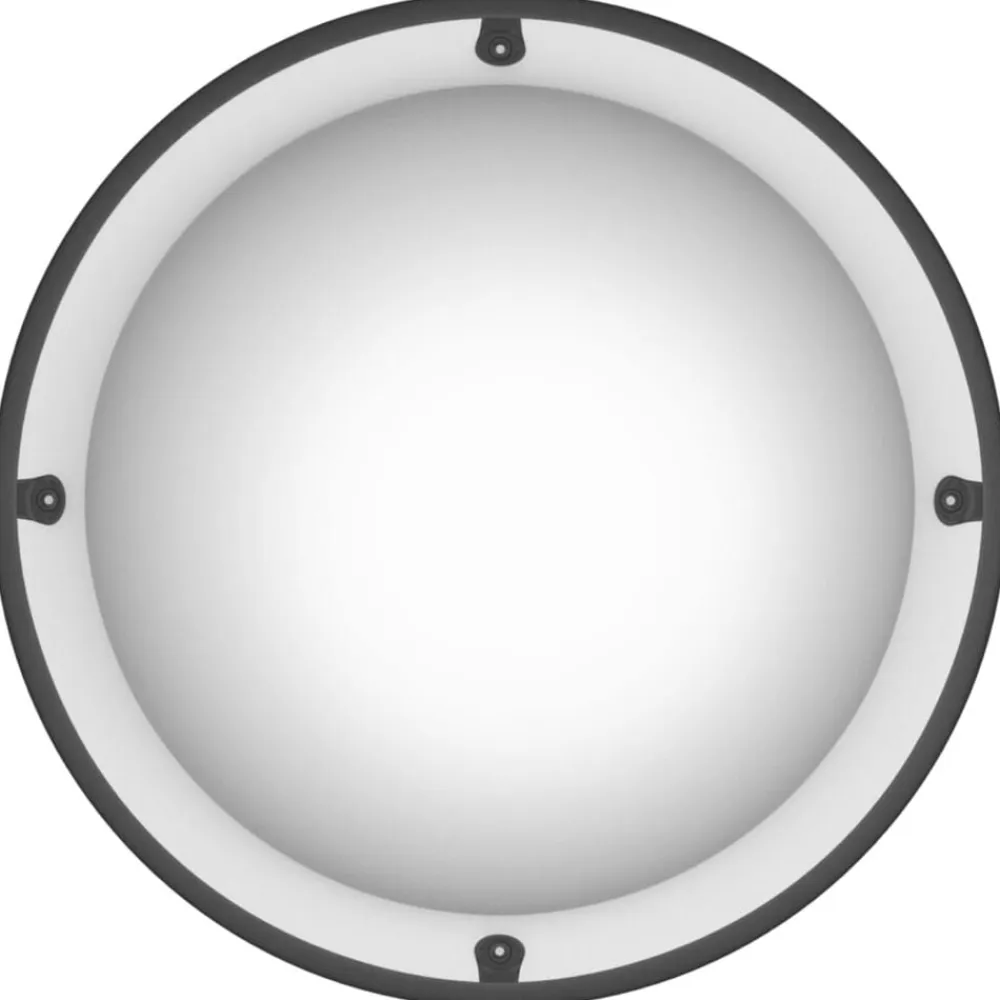 vidaXL Espejo de tráfico con cúpula completa Ø40 cm Acrílico