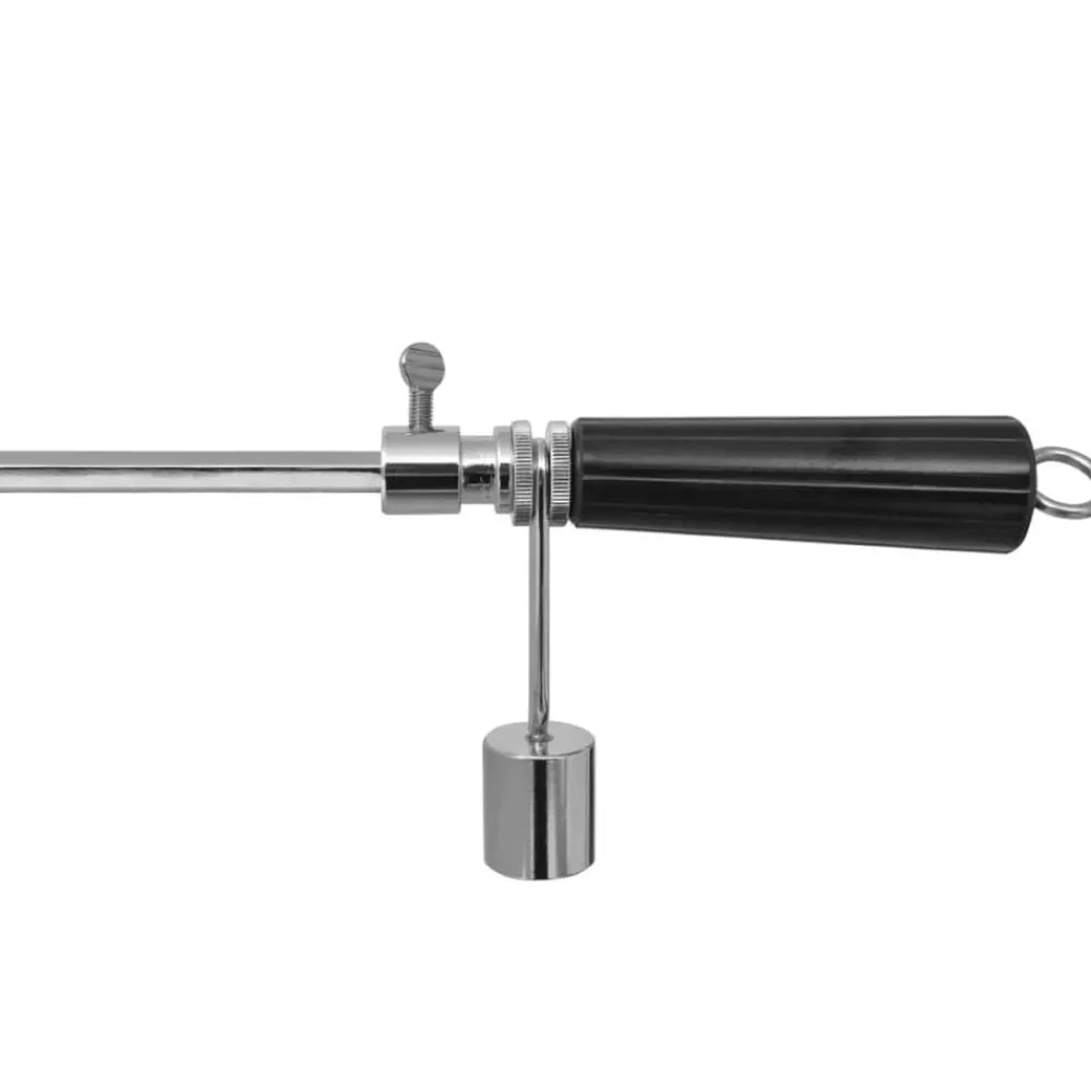 vidaXL Espetón para asados/barbacoa con motor profesional acero 1200 mm Sale