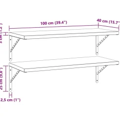 vidaXL Estanterías-Estantes de pared 2 uds acero inoxidable 100x40 cm