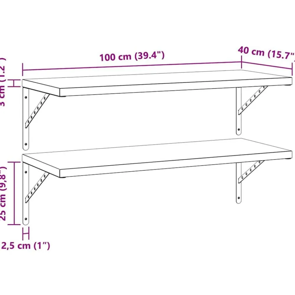 vidaXL Estanterías-Estantes de pared 2 uds acero inoxidable 100x40 cm