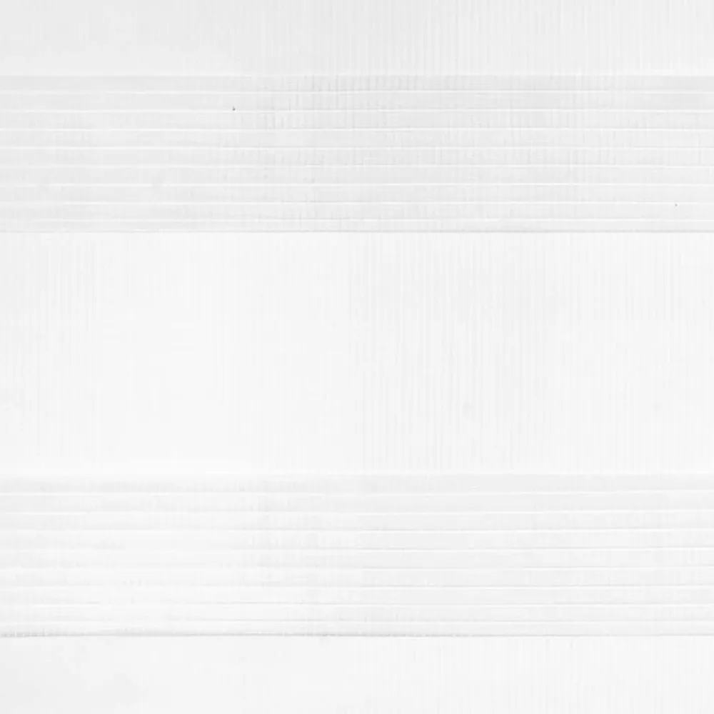 vidaXL Estor cebra 40x100 cm tejido ancho 35,9 cm poliéster Blanco Online