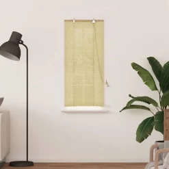 vidaXL Estor enrollable con cortinas eza 60 x 160 cm Bambú Natural Best