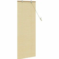 vidaXL Estor enrollable con cortinas eza 60 x 160 cm Bambú Natural Best