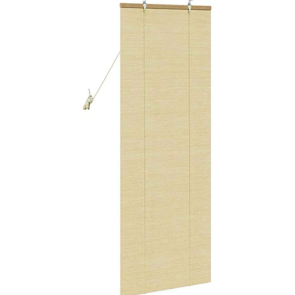 vidaXL Estor enrollable con cortinas eza 60 x 160 cm Bambú Natural Best