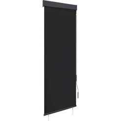 vidaXL Estor enrollable de exterior gris 60x250 cm Antracita Online