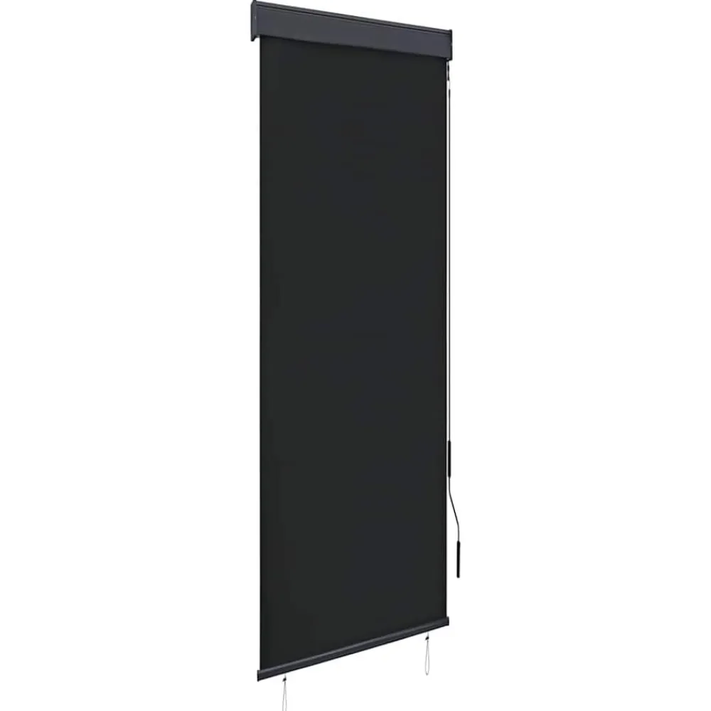 vidaXL Estor enrollable de exterior gris 60x250 cm Antracita Online