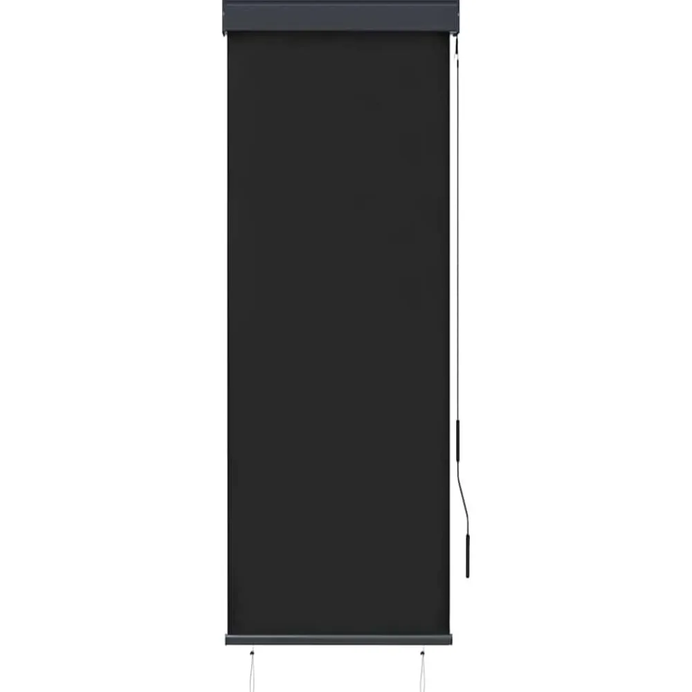 vidaXL Estor enrollable de exterior gris 60x250 cm Antracita Online