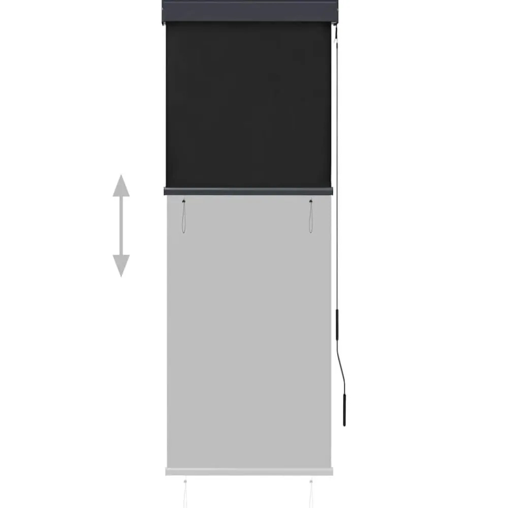 vidaXL Estor enrollable de exterior gris 60x250 cm Antracita Online