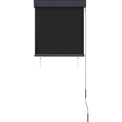 vidaXL Estor enrollable de exterior gris 60x250 cm Antracita Online