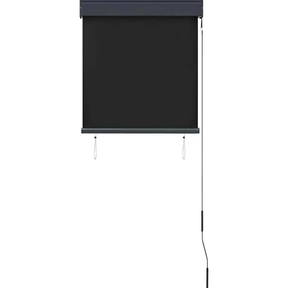 vidaXL Estor enrollable de exterior gris 60x250 cm Antracita Online