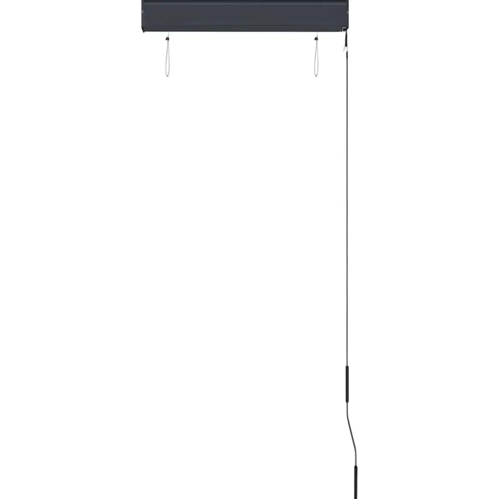 vidaXL Estor enrollable de exterior gris 60x250 cm Antracita Online