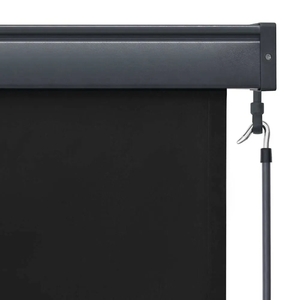 vidaXL Estor enrollable de exterior gris 60x250 cm Antracita Online