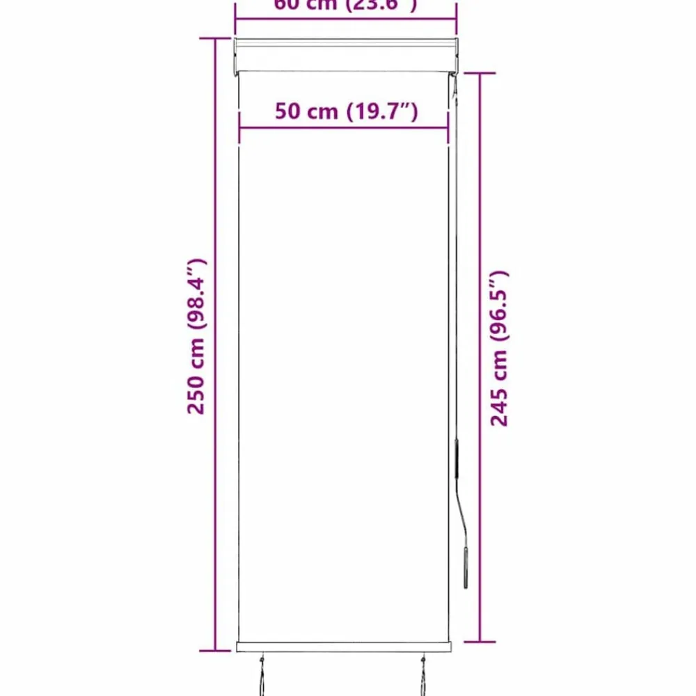 vidaXL Estor enrollable de exterior gris 60x250 cm Antracita Online