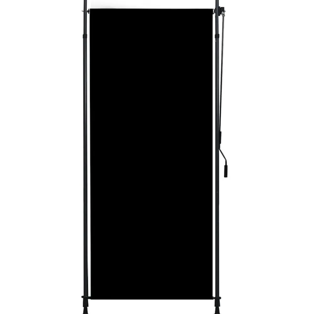 vidaXL Estor enrollable de exterior gris 100x270 cm Antracita Best