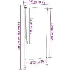 vidaXL Estor enrollable de exterior gris 100x270 cm Antracita Best