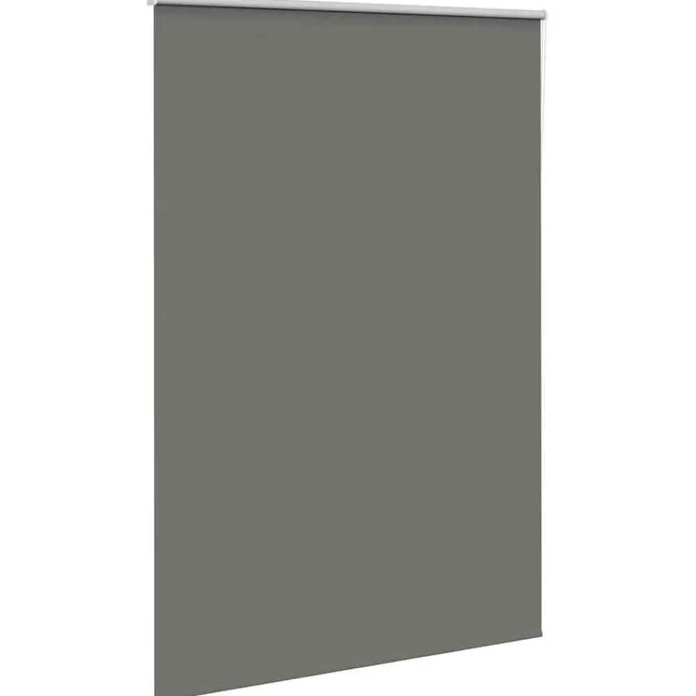 vidaXL Estor Enrollable Opaco 165x210 cm Tela Ancho 161,6 cm Gris Hot