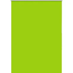 vidaXL Decoración-Estor Enrollable Opaco hojas verde 105x130cm Tela Ancho 100,7cm