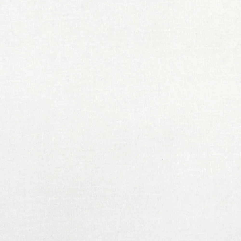 vidaXL Estor Plisado 40x100 cm Tela Ancho 39,4 cm Poliéster Blanco