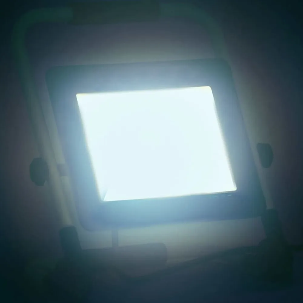 vidaXL Foco LED con asa 100 W blanco frío Blanco frío Outlet
