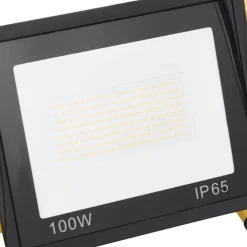 vidaXL Foco LED con asa 100 W blanco frío Blanco frío Outlet