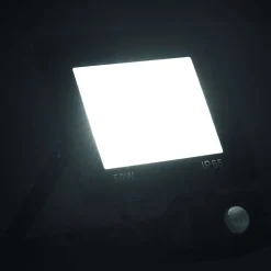 vidaXL Iluminación-Foco LED con sensor 50 W blanco frío