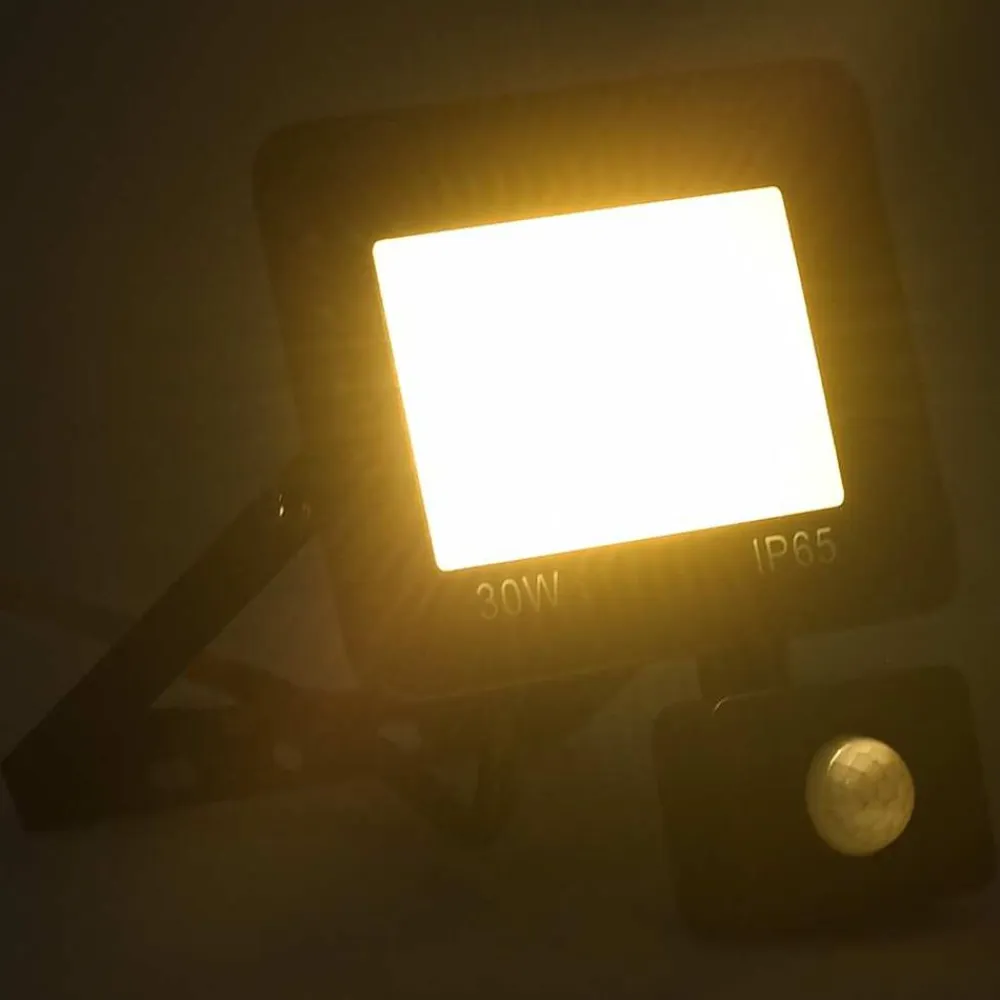 vidaXL Foco LED con sensor 30 W blanco cálido Blanco cálido New